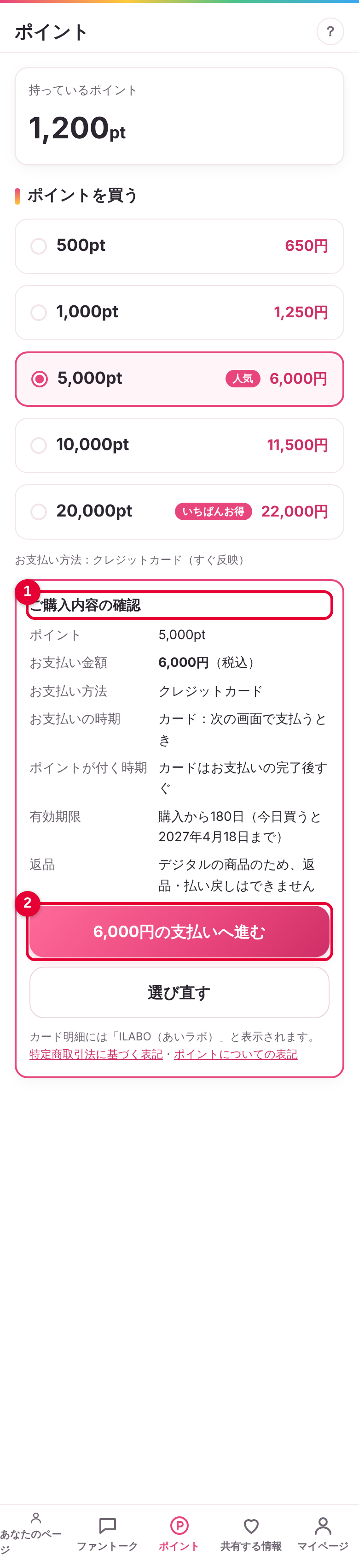 内容を確かめて支払いへ進むの画面